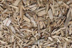 biomass boilers Lydlinch